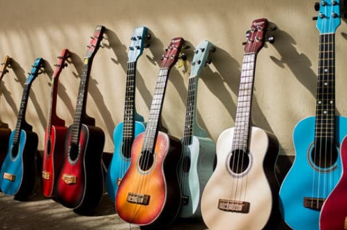 Guitar Auctions on HiBid