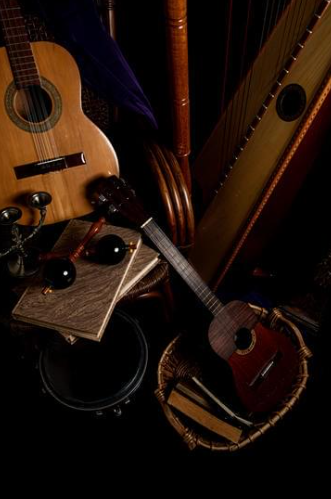 Guitar Auctions on HiBid