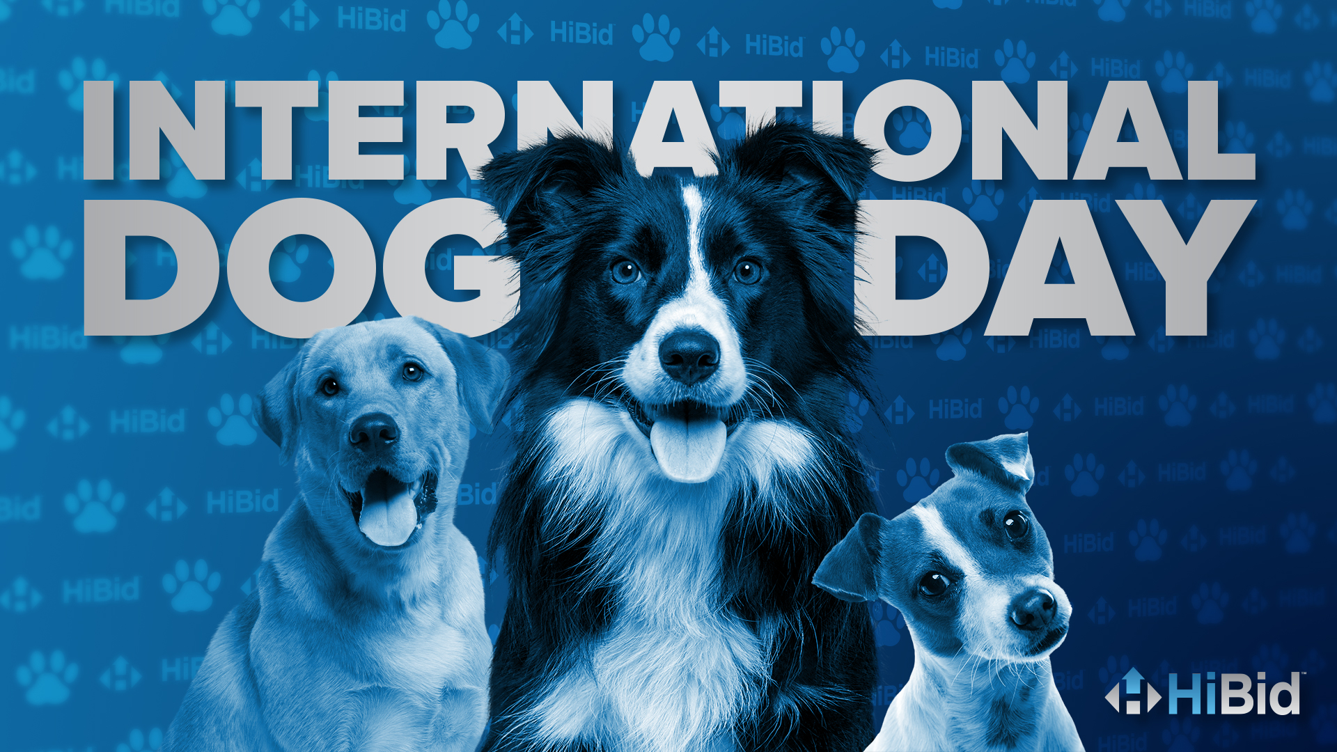 Celebrate International Dog Day with the Best Deals on Pet Supplies at HiBid