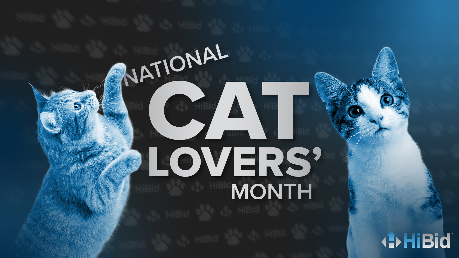 Celebrate National Cat Lovers’ Month with Purr-fect Finds on HiBid