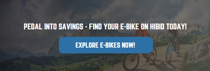 E-Bikes on HiBid