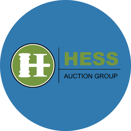 Online Auctions